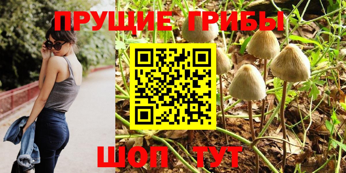 Нижний Новгород  купить наркотики цена  Вход с VPN  Галлюциногенные грибы мицелий  Галлюциногенные грибы Psilocybe 
